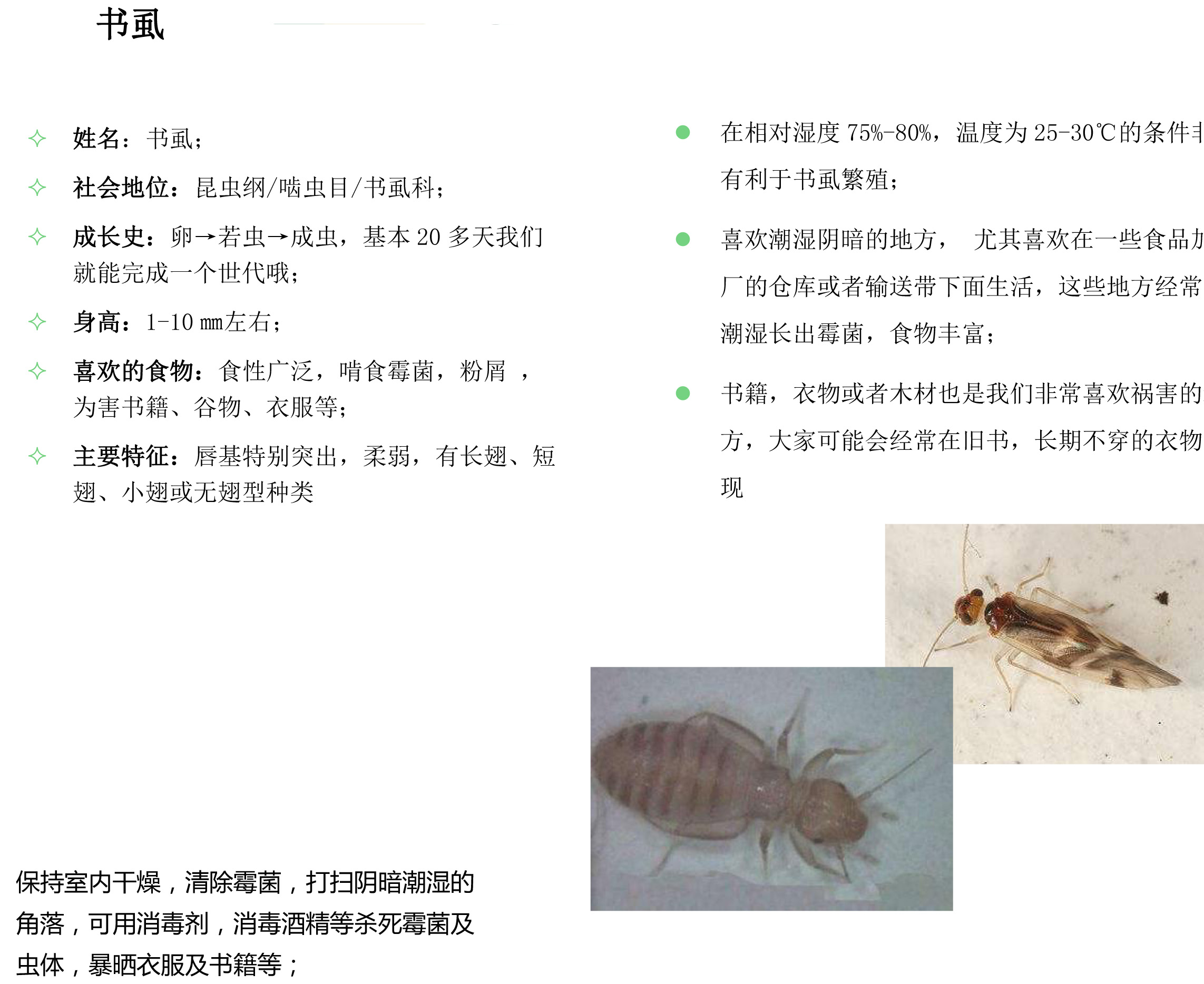 其他害蟲-1.jpg 其他害蟲-1.jpg