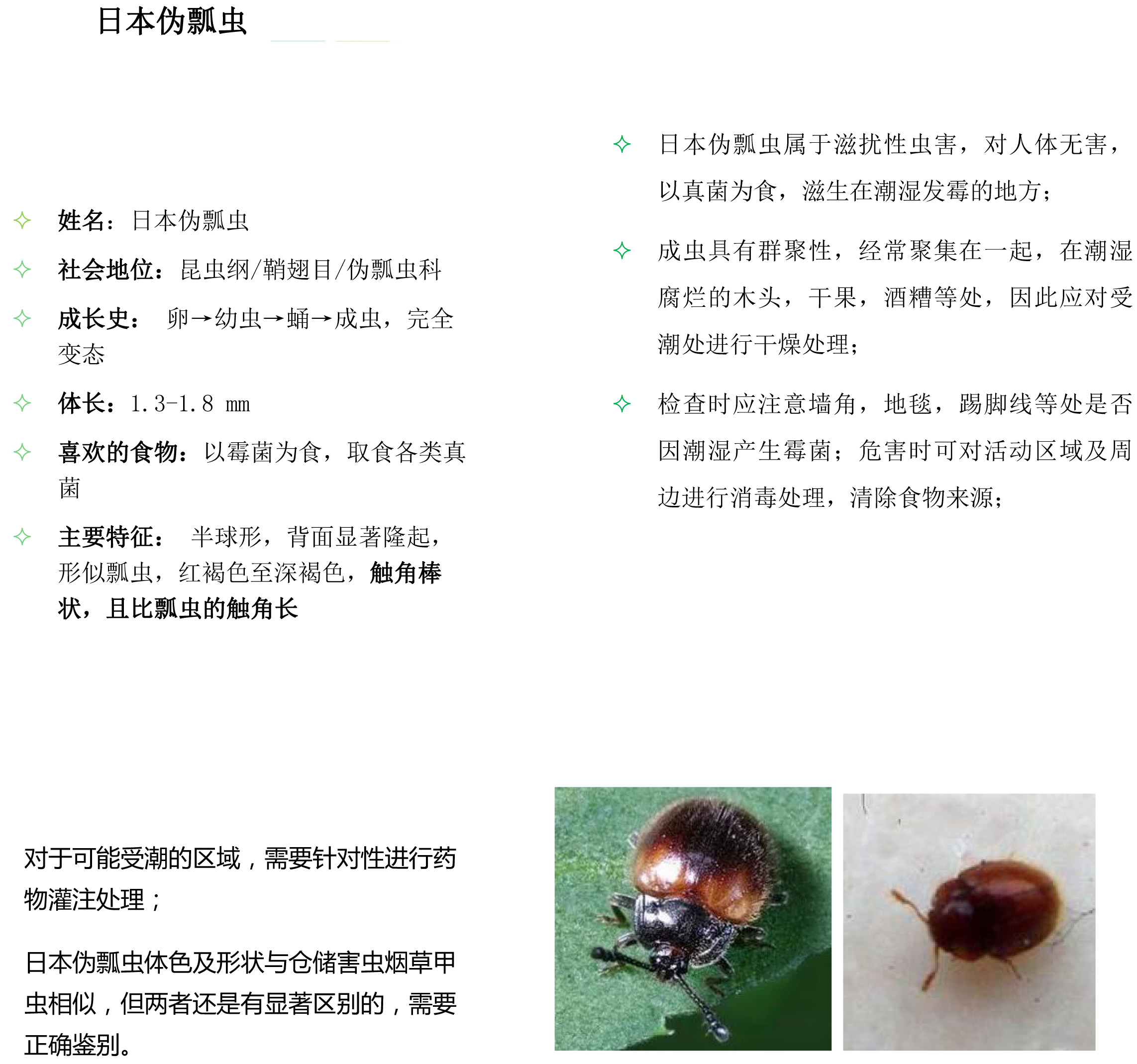 其他害蟲-2.jpg 其他害蟲-2.jpg
