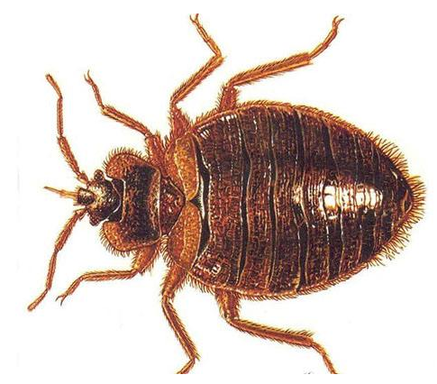 QQ圖片20180426164406.png QQ圖片20180426164406.png